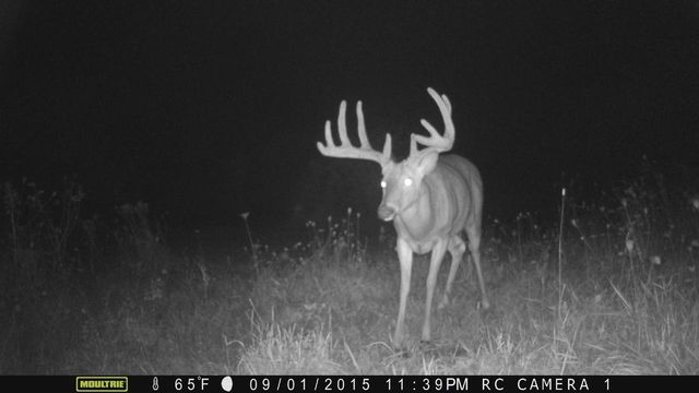 13376 Quarry Drive, Hillsboro, WI 54634