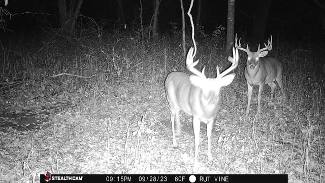 13376 Quarry Drive, Hillsboro, WI 54634