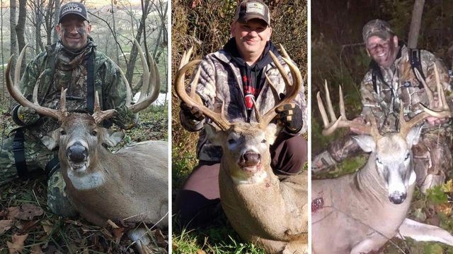 13376 Quarry Drive, Hillsboro, WI 54634