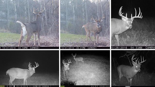 13376 Quarry Drive, Hillsboro, WI 54634