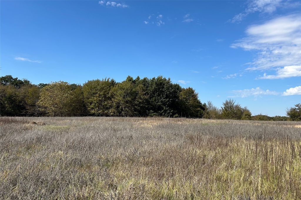 TBD8 County Road 141, Callisburg, TX 76240