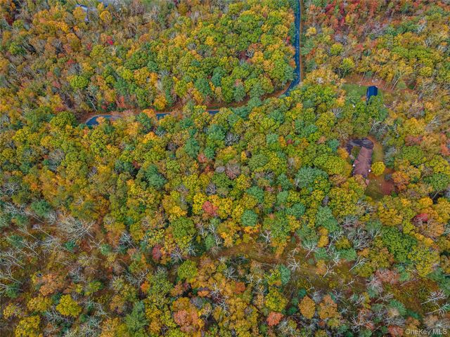 Taras Schevchenko (Lot 24) Road, Glen Spey, NY 12737