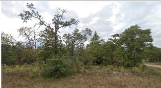 ESMONT AVENUE, Chipley, FL 32428