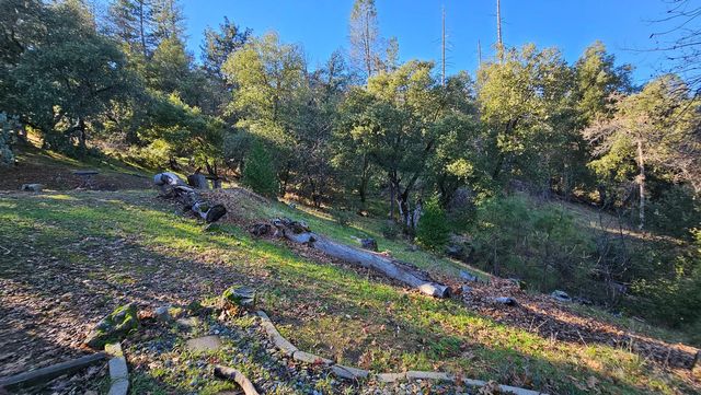 56261 Manzanita Lake Drive, North Fork, CA 93643
