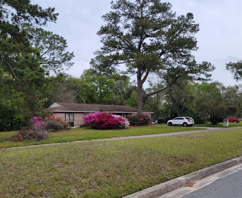 356 EVERGREEN LANE, Middleburg, FL 32068