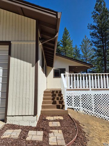 21640 Clute Canyon Rd, Volcano, CA 95689