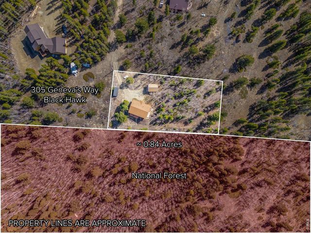 305 Genevas Way, Black Hawk, CO 80422