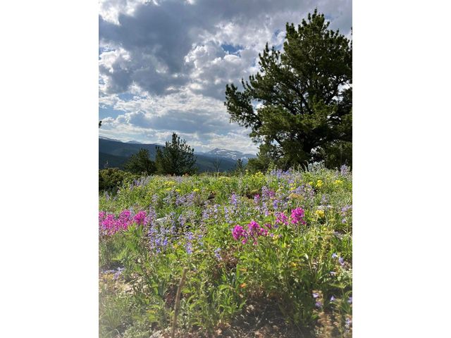 305 Genevas Way, Black Hawk, CO 80422