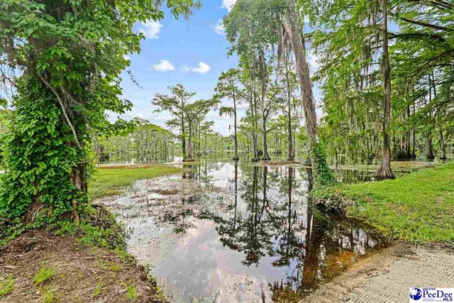 307 E 1st Ave., Lake View, SC 29563