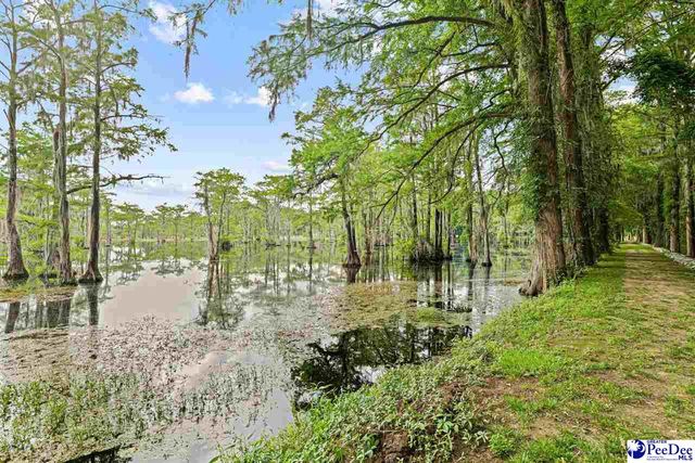 307 E 1st Ave., Lake View, SC 29563