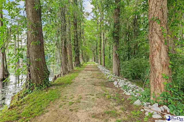 307 E 1st Ave., Lake View, SC 29563