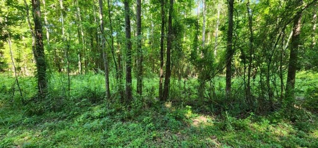 0 Smith Place, Stockton, AL 36579 — photo 4