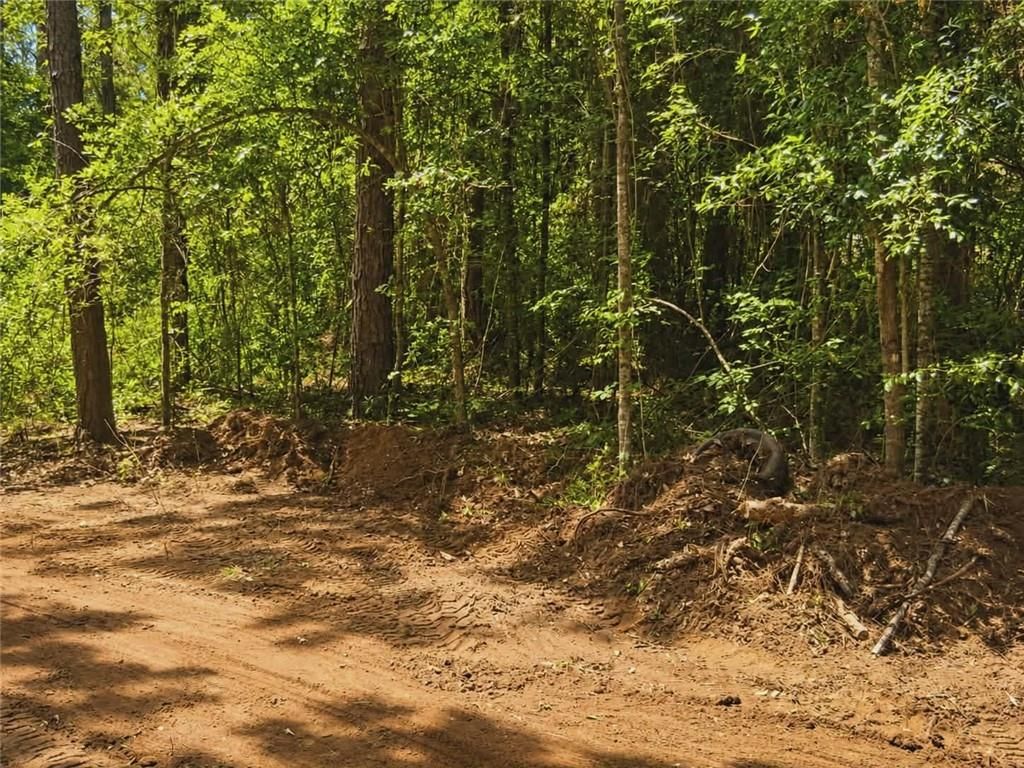 0 Walter Tanner Road, Mobile, AL 36587 — photo 3