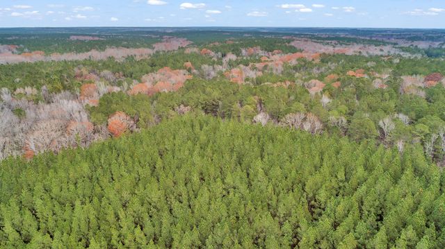 LOT 6 SAGGUS Road, Washington, GA 30673