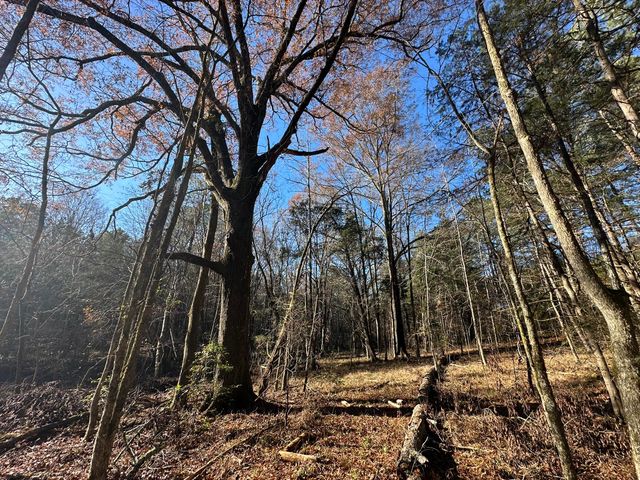 LOT 6 SAGGUS Road, Washington, GA 30673