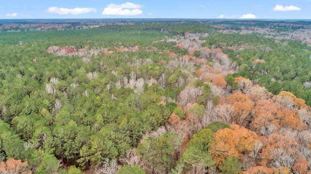 LOT 6 SAGGUS Road, Washington, GA 30673