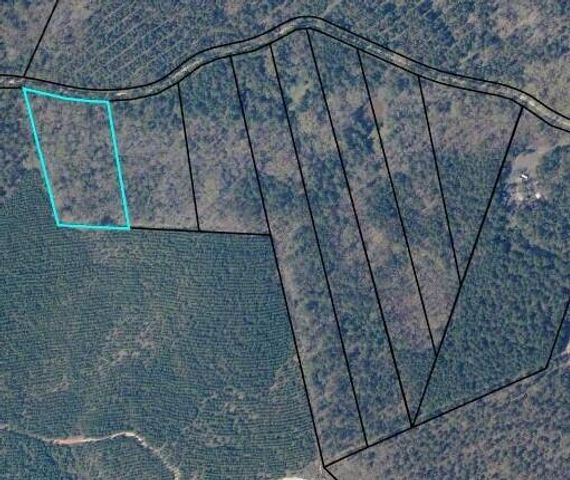 LOT 6 SAGGUS Road, Washington, GA 30673