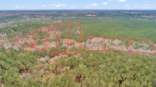 LOT 6 SAGGUS Road, Washington, GA 30673