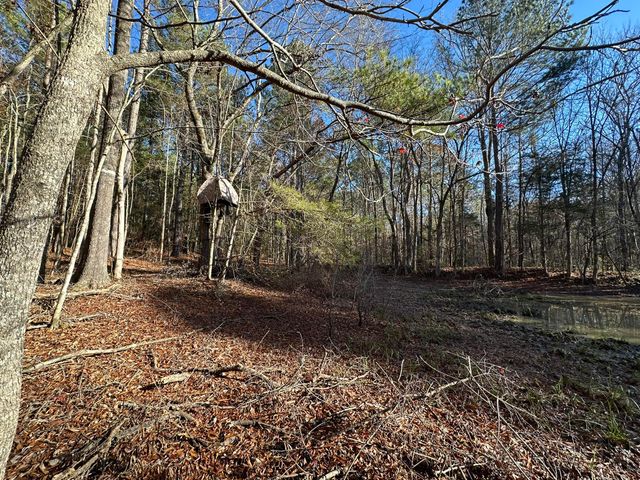 LOT 6 SAGGUS Road, Washington, GA 30673