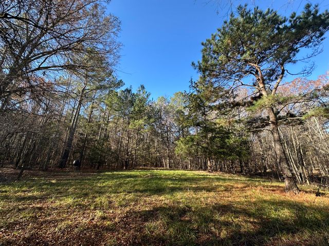 LOT 6 SAGGUS Road, Washington, GA 30673