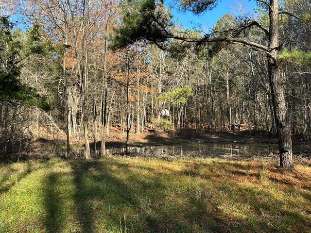 LOT 6 SAGGUS Road, Washington, GA 30673