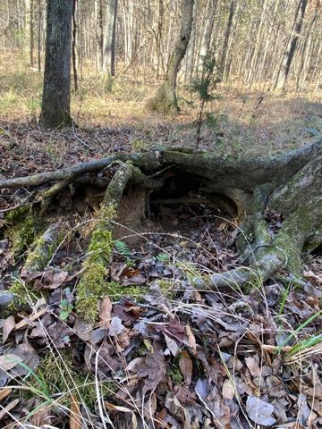 LOT 6 SAGGUS Road, Washington, GA 30673