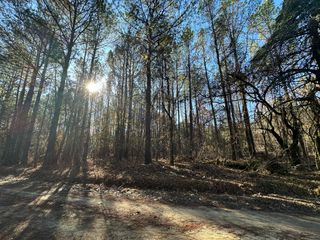 LOT 6 SAGGUS Road, Washington, GA 30673