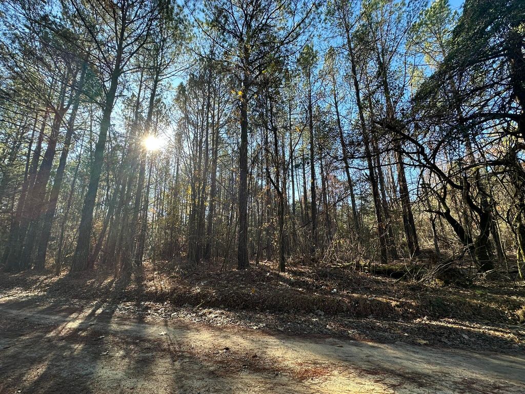 LOT 6 SAGGUS Road, Washington, GA 30673