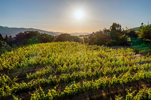 786 Pompadour Drive, Ashland, OR 97520