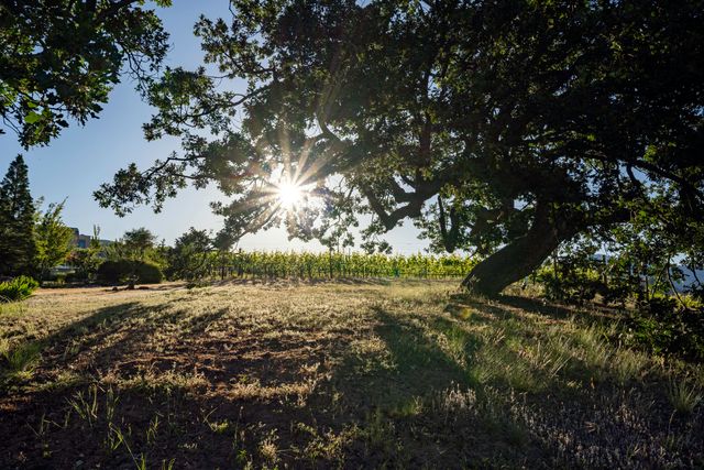 786 Pompadour Drive, Ashland, OR 97520