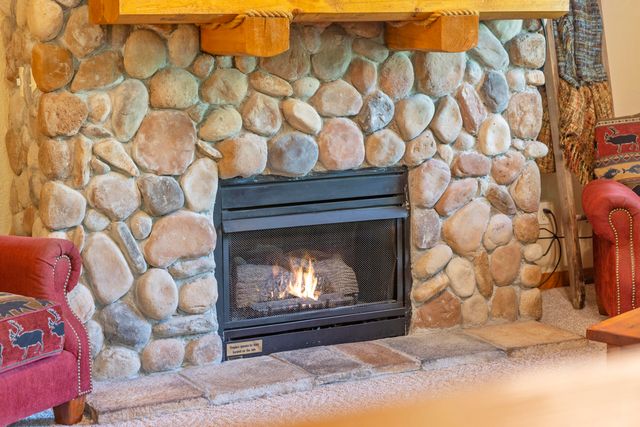 238 Oakridge Road, Branson, MO 65616