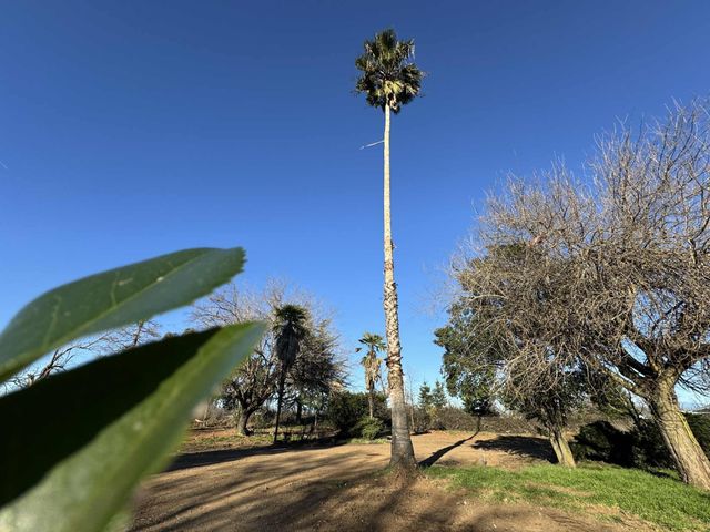 22148 Lone Tree Road, Anderson, CA 96007