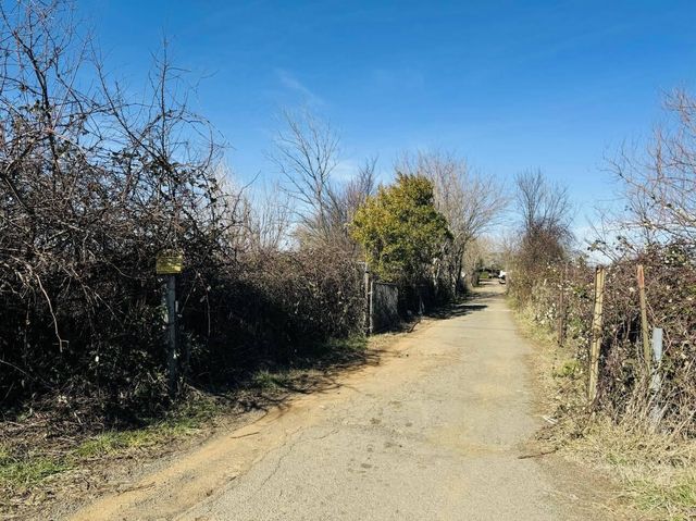 22148 Lone Tree Road, Anderson, CA 96007