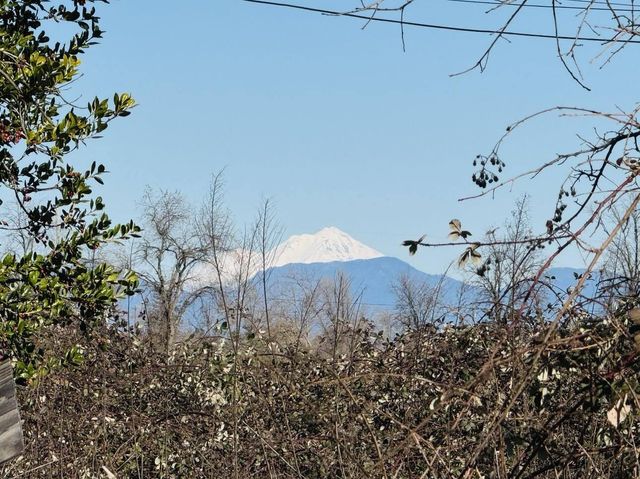 22148 Lone Tree Road, Anderson, CA 96007