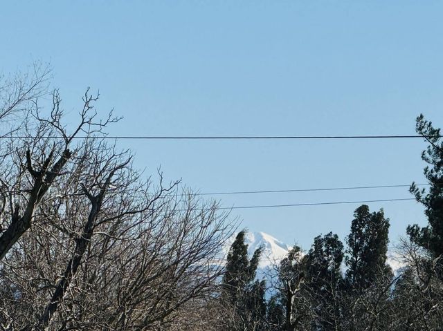 22148 Lone Tree Road, Anderson, CA 96007