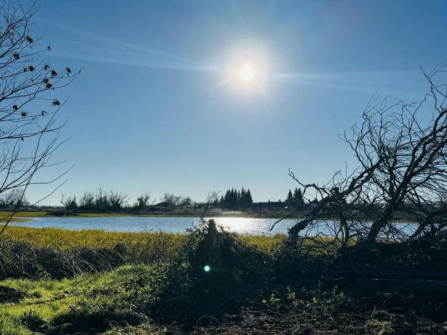 22148 Lone Tree Road, Anderson, CA 96007