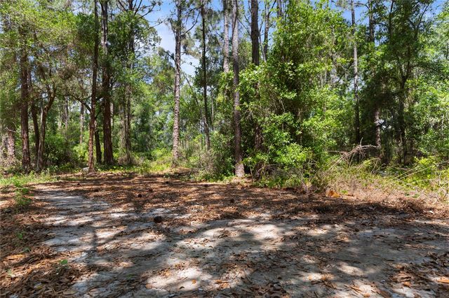 9121 FLORIDA BOYS RANCH ROAD, Clermont, FL 34711