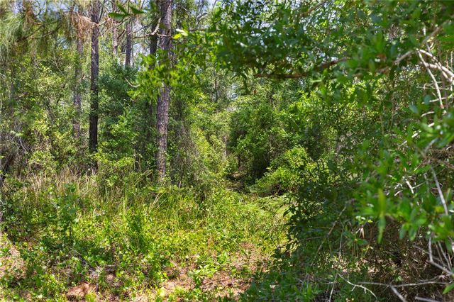 9121 FLORIDA BOYS RANCH ROAD, Clermont, FL 34711