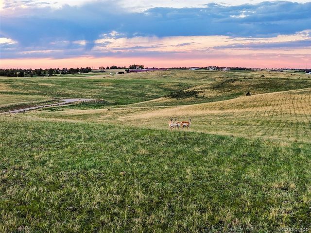 30333 Kootney St, Elizabeth, CO 80107