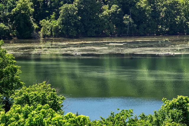 150 Sunken Forest Drive 4-157, Forsyth, MO 65653