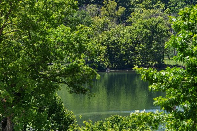 150 Sunken Forest Drive 4-157, Forsyth, MO 65653