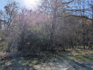 2 S Forest Cove Loop, Coldspring, TX 77331