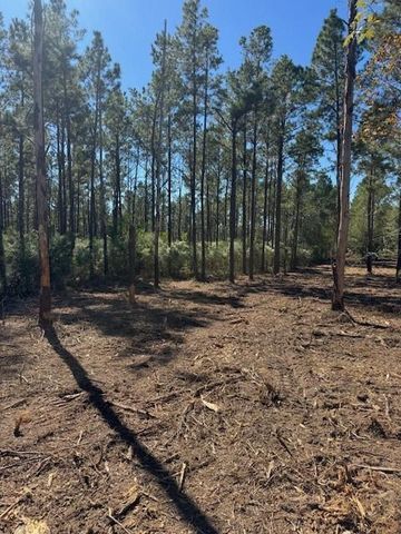 TBD FM 350 South, Lot 7 Fm-350 S, Livingston, TX 77351