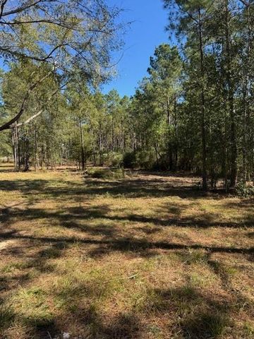 TBD FM 350 South, Lot 7 Fm-350 S, Livingston, TX 77351