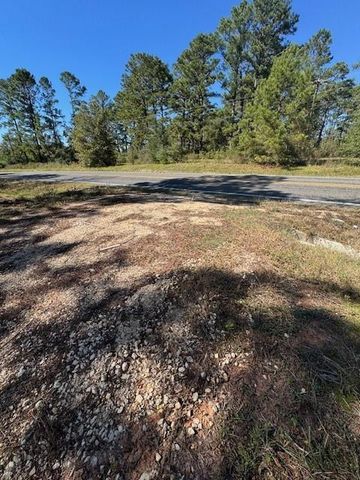 TBD FM 350 South, Lot 7 Fm-350 S, Livingston, TX 77351