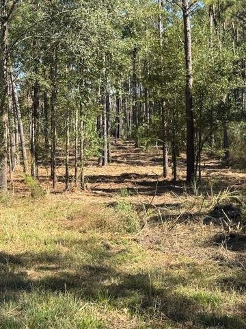 TBD FM 350 South, Lot 7 Fm-350 S, Livingston, TX 77351