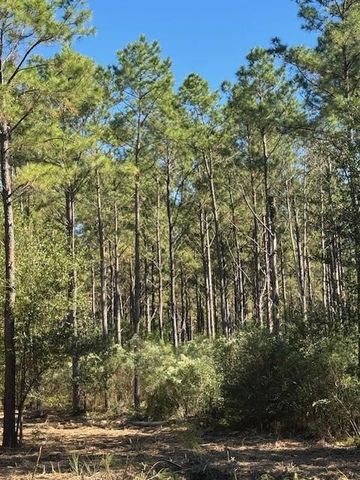 TBD FM 350 South, Lot 7 Fm-350 S, Livingston, TX 77351