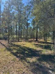 TBD FM 350 South, Lot 7 Fm-350 S, Livingston, TX 77351