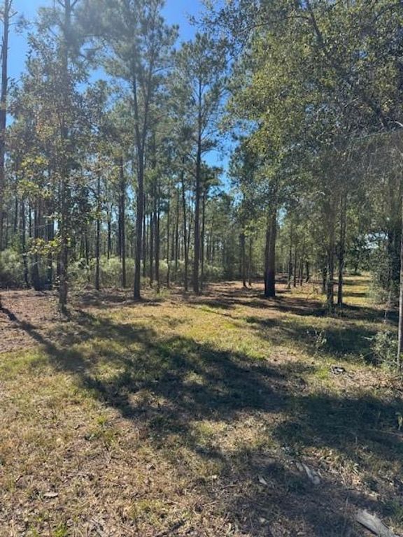 TBD FM 350 South, Lot 7 Fm-350 S, Livingston, TX 77351