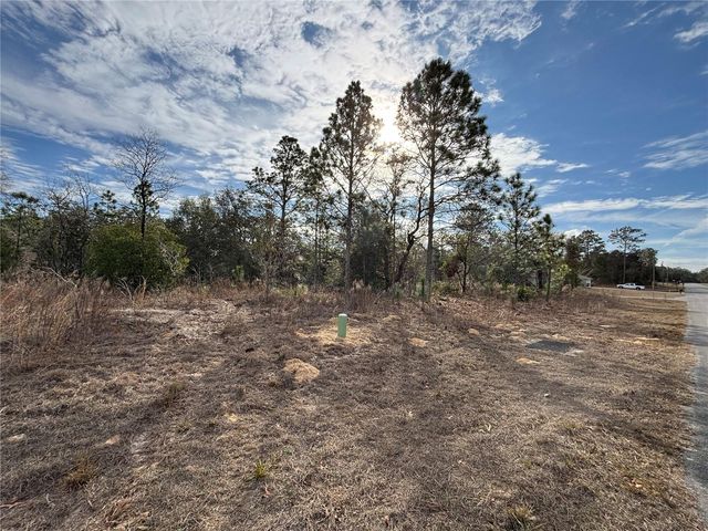 6505 N VARSITY AVENUE, Citrus Springs, FL 34434